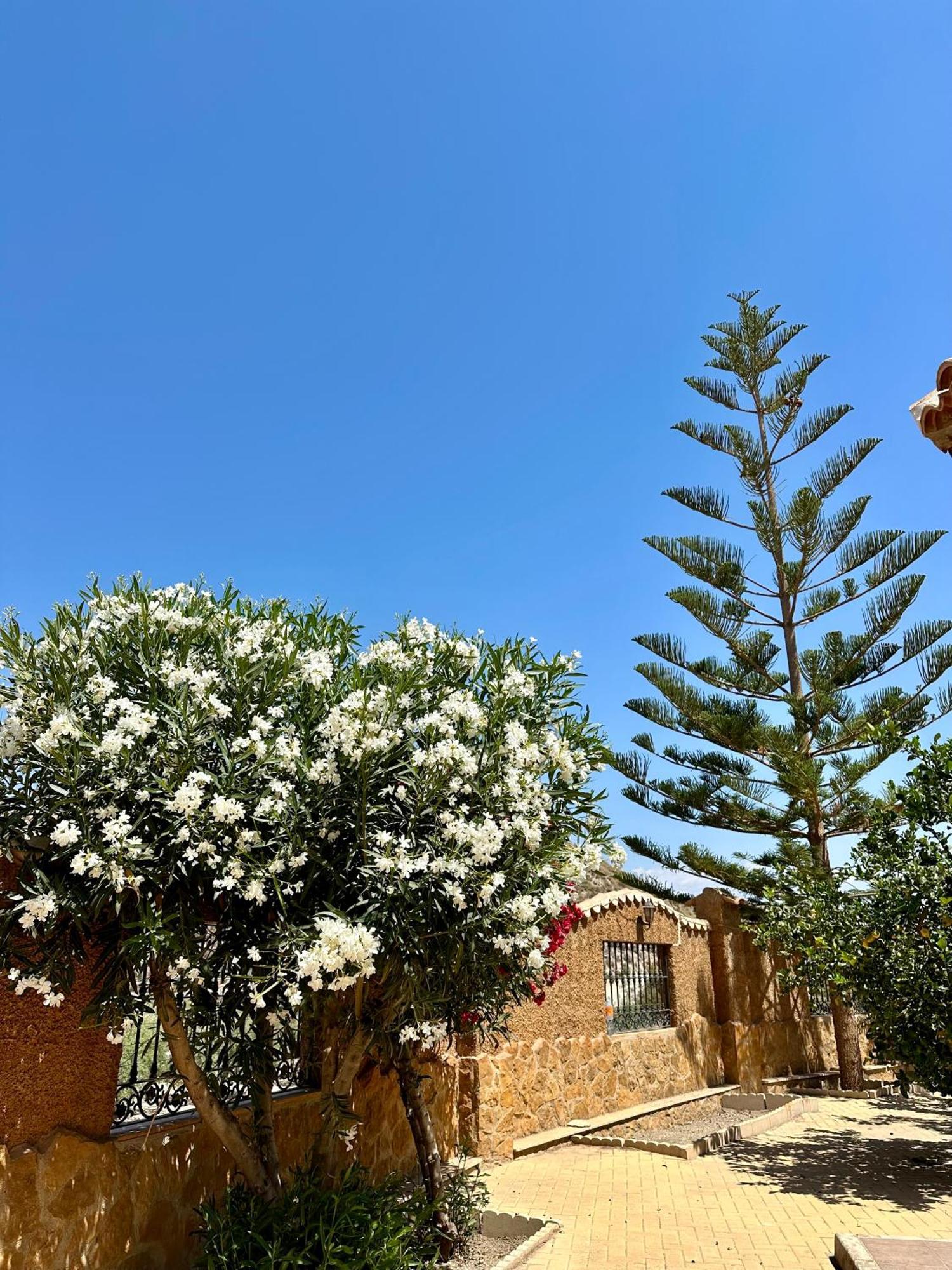 Casa Rural El Pomelo Zurgena Εξωτερικό φωτογραφία