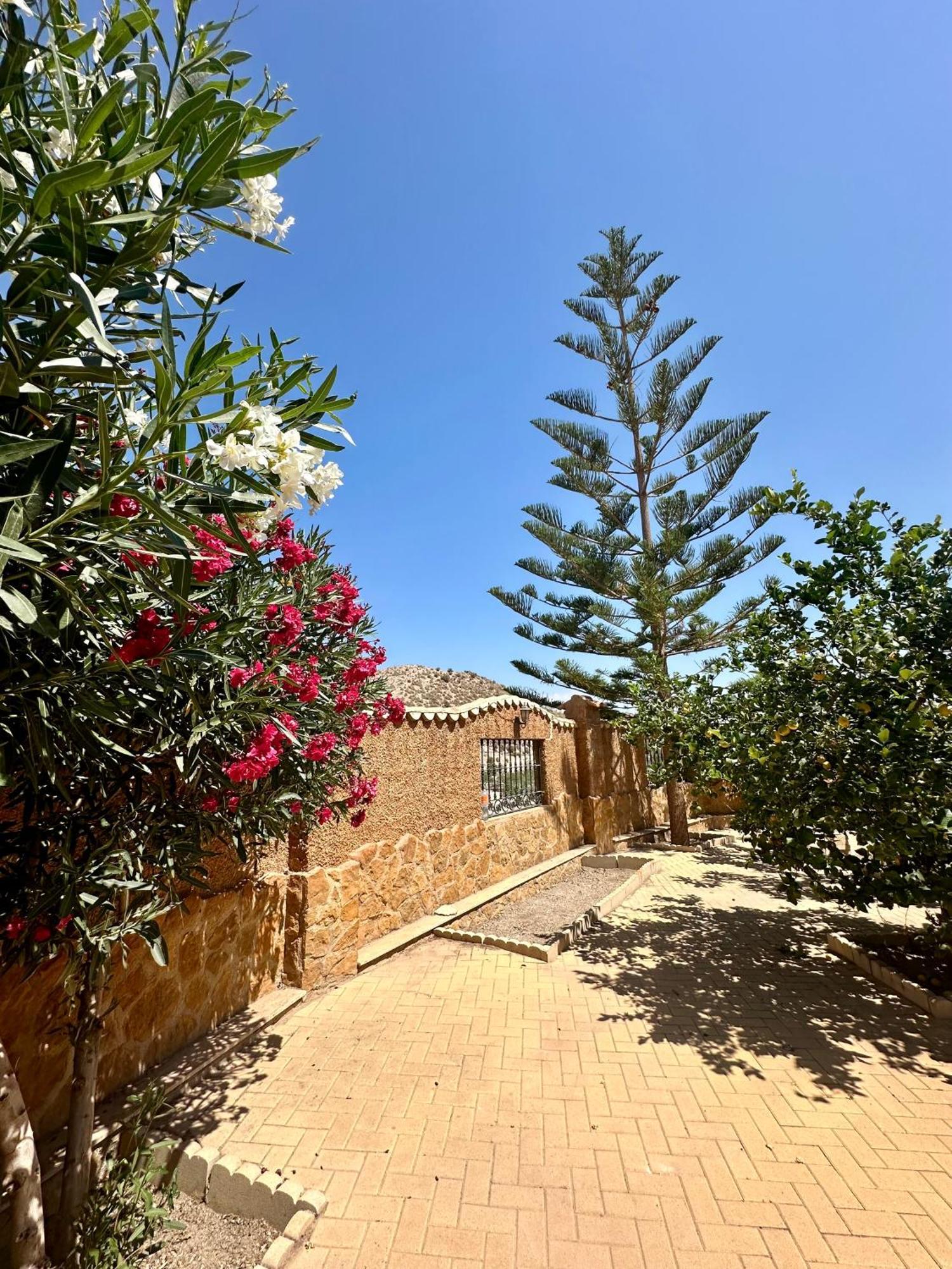 Casa Rural El Pomelo Zurgena Εξωτερικό φωτογραφία